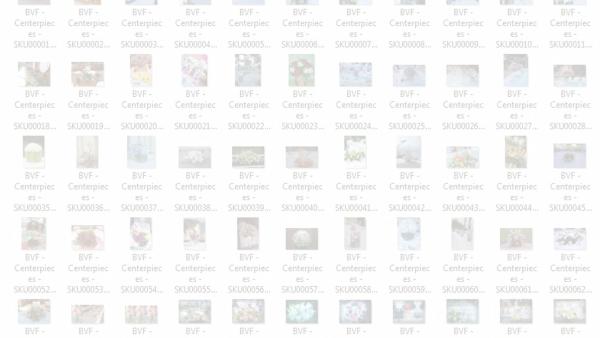 Duplikat Foto Windows Explorer